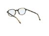 Picture of Hollister Eyeglasses HL50028