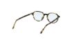 Picture of Hollister Eyeglasses HL50028