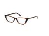 Picture of Hollister Eyeglasses HL50021