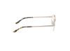 Picture of Hollister Eyeglasses HL50018