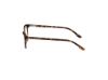 Picture of Hollister Eyeglasses HL50017