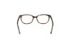 Picture of Hollister Eyeglasses HL50017