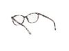 Picture of Hollister Eyeglasses HL50017