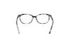 Picture of Hollister Eyeglasses HL50017