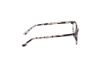 Picture of Hollister Eyeglasses HL50017