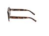 Picture of Abercrombie & Fitch Eyeglasses AF50027
