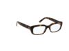 Picture of Abercrombie & Fitch Eyeglasses AF50026