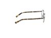 Picture of Abercrombie & Fitch Eyeglasses AF50022