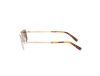Picture of Abercrombie & Fitch Sunglasses AF00040