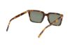 Picture of Abercrombie & Fitch Sunglasses AF00038