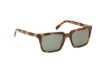 Picture of Abercrombie & Fitch Sunglasses AF00038