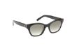 Picture of Abercrombie & Fitch Sunglasses AF00023