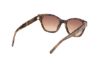 Picture of Abercrombie & Fitch Sunglasses AF00023