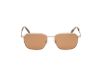 Picture of Abercrombie & Fitch Sunglasses AF00032