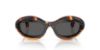 Picture of Alain Mikli Sunglasses A05517