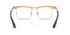 Picture of Ray Ban Eyeglasses RX3875V