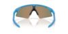 Picture of Oakley Sunglasses OJ9015
