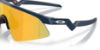 Picture of Oakley Sunglasses OJ9015