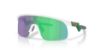 Picture of Oakley Sunglasses OJ9010