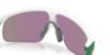Picture of Oakley Sunglasses OJ9010