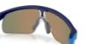 Picture of Oakley Sunglasses OJ9010