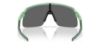 Picture of Oakley Sunglasses OO9496