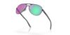 Picture of Oakley Sunglasses OO4079