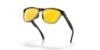 Picture of Oakley Sunglasses OO9284