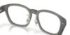 Picture of Oakley Eyeglasses OX8197D