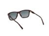 Picture of Timberland Sunglasses TB00052-H