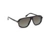 Picture of Tom Ford Sunglasses FT1208