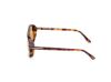 Picture of Tom Ford Sunglasses FT1208