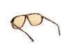 Picture of Tom Ford Sunglasses FT1208