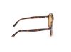 Picture of Tom Ford Sunglasses FT1211