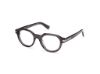 Picture of Ermenegildo Zegna Eyeglasses EZ5303