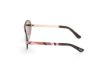 Picture of Emilio Pucci Sunglasses EP0237