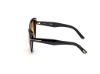 Picture of Tom Ford Sunglasses FT1223