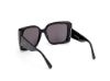 Picture of Max Mara Sunglasses MM0131