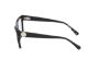 Picture of Harley Davidson Eyeglasses HD50107