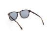 Picture of Harley Davidson Sunglasses HD00019