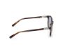 Picture of Harley Davidson Sunglasses HD00019