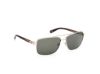 Picture of Harley Davidson Sunglasses HD00018
