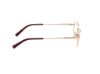 Picture of Viva Eyeglasses VV50018