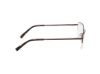 Picture of Viva Eyeglasses VV50016