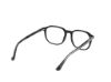 Picture of Web Eyeglasses WE5454