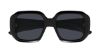 Picture of Chloe Sunglasses CH0300S