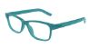 Picture of Puma Eyeglasses PJ0082O