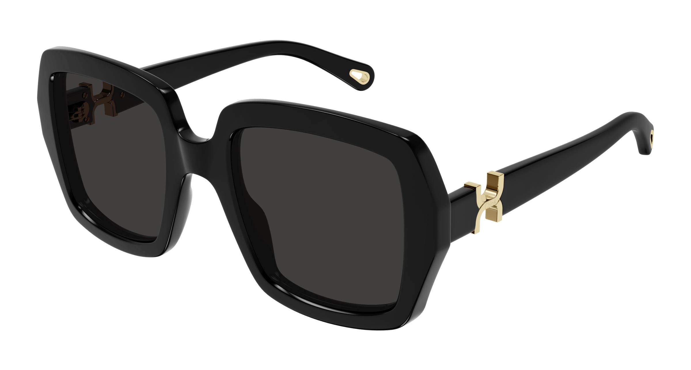 Picture of Chloe Sunglasses CH0301S