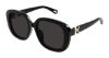Picture of Chloe Sunglasses CH0303SK
