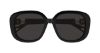 Picture of Chloe Sunglasses CH0303SK